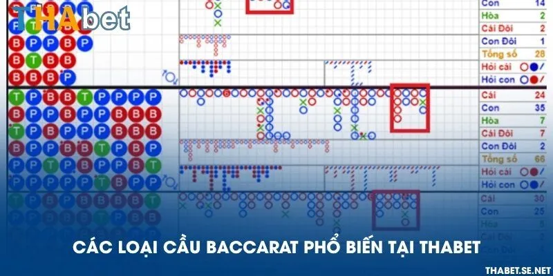 Các loại cầu Baccarat phổ biến tại THAbet