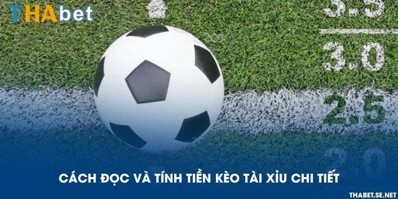 Cách đọc và tính tiền kèo tài xỉu chi tiết