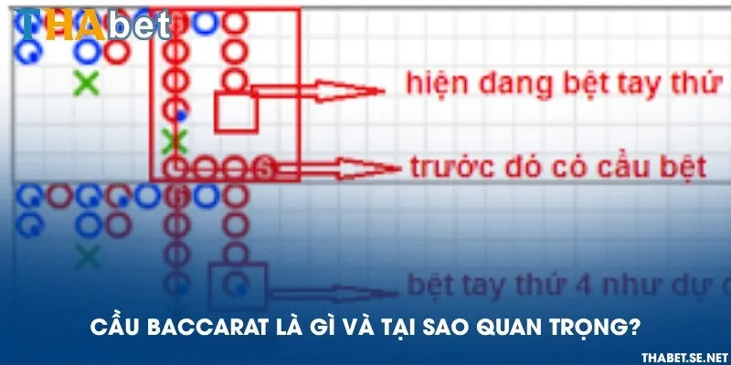 Cầu Baccarat là gì và tại sao quan trọng?