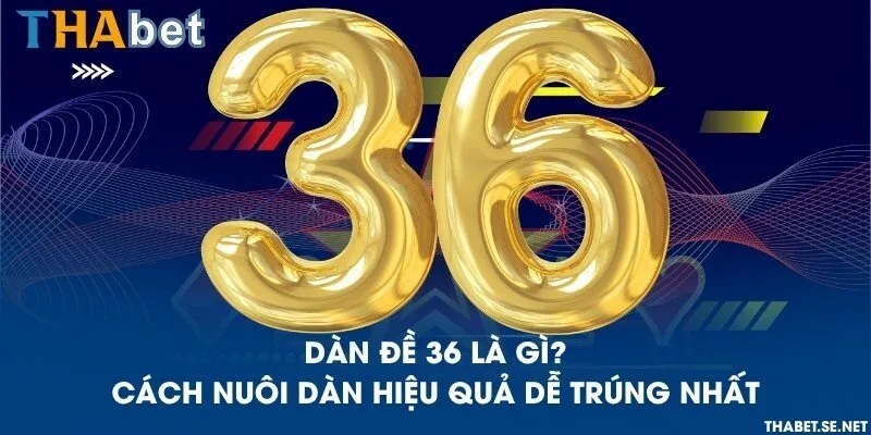 Dàn đề 36 là gì? Cách nuôi dàn hiệu quả dễ trúng nhất