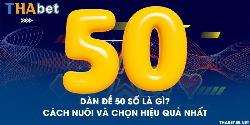 Dàn đề 50 số là gì? Cách nuôi và chọn hiệu quả nhất